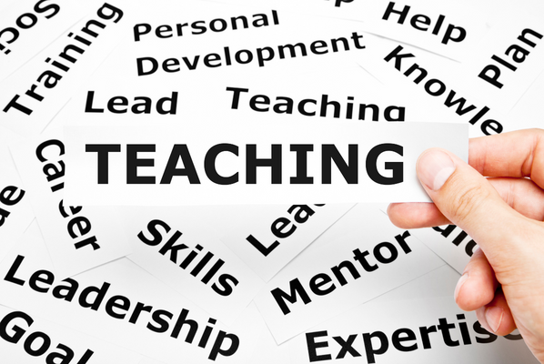 What is niche teaching?